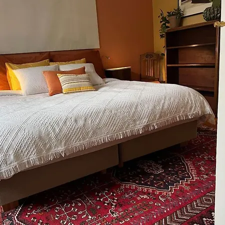 Appartement Spacious Historical Art Oasis In The Center