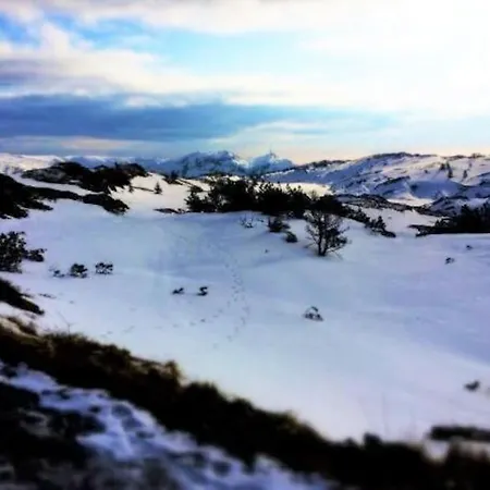 Spacious Historical Art Oasis In The Center * Bergen