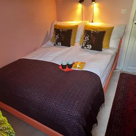 Spacious Historical Art Oasis In The Center