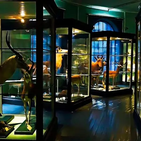 Spacious Historical Art Oasis In The Center 公寓