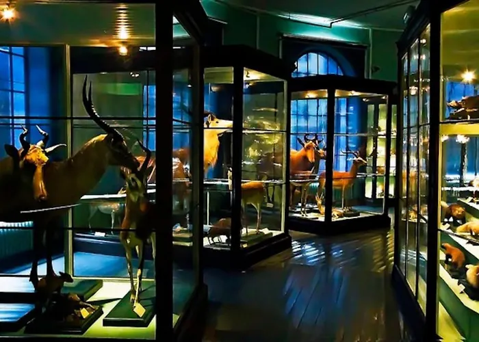 Spacious Historical Art Oasis In The Center Appartement