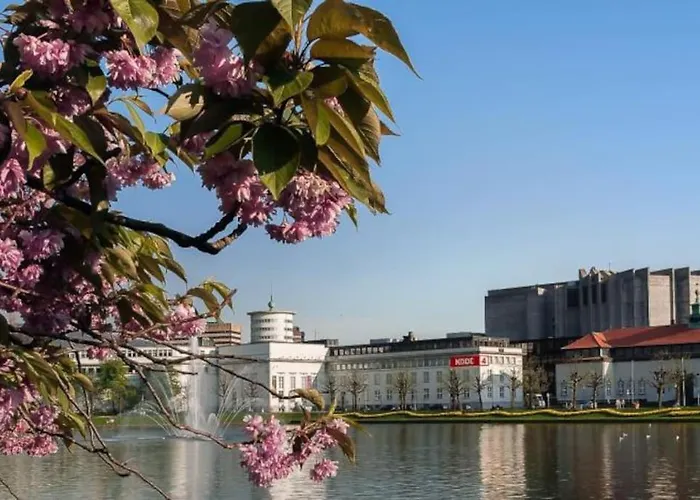 Spacious Historical Art Oasis In The Center 公寓